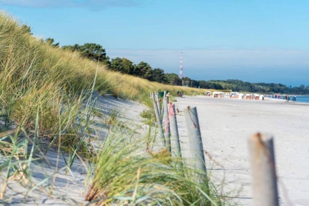 Ferienhaus Sanddorn Breege- Zwischen Bodden & Meer 外观 照片