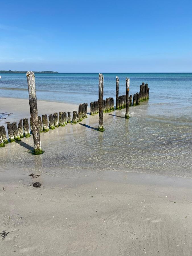 Ferienhaus Sanddorn Breege- Zwischen Bodden & Meer 外观 照片